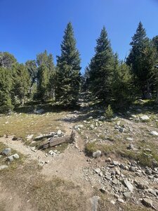 Hailey Pass Trail
