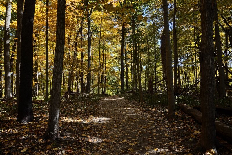 Fall at Glen Helen