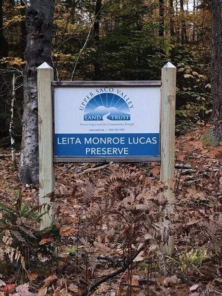 Leita Monroe Lucas Preserve