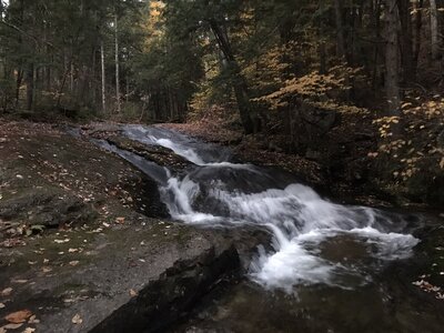 Weeks Brook Cascades