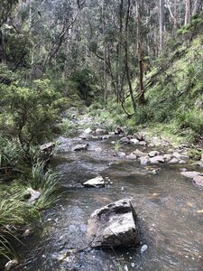 One of the smaller creeks on the way.