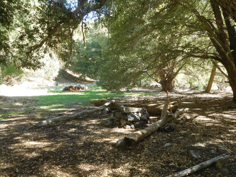 Mine Gulch Trail Camp