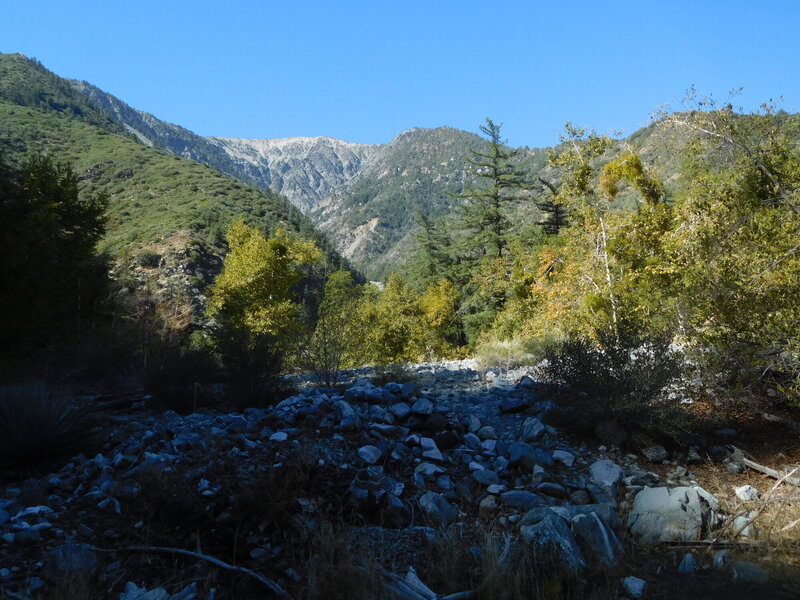 View of Mt. Baden-Powell and Mine Gulch from Prairie Fork.