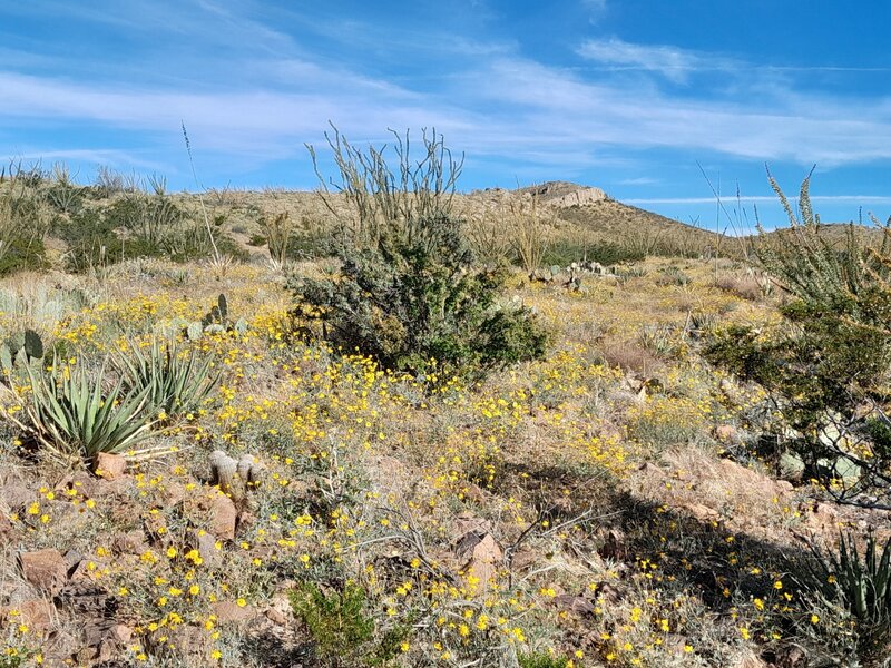 View of  La Espina Ledge
