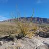 Ocotillo and North Franklin Mountains.