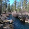 Metolius River gorge (3-29-2022)