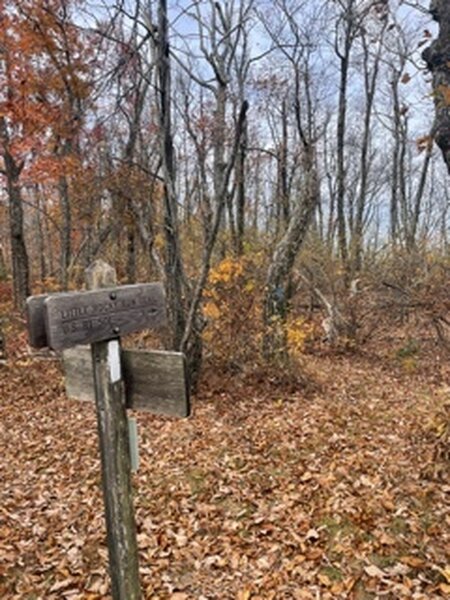 Little Rocky Row TrailHead from the top at the Appalachian Trail Intersection.