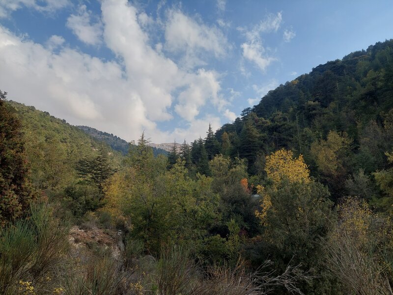 Horse Ehden from the bottom