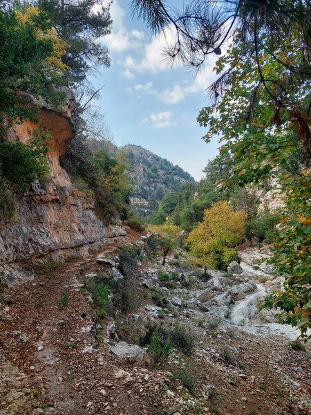 The Valley trail