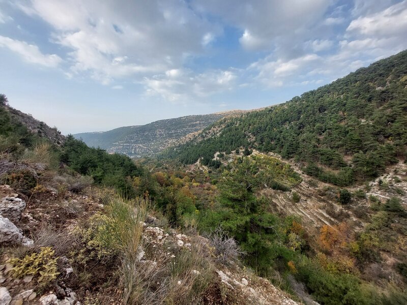 The Valley between Toula and Bhairi