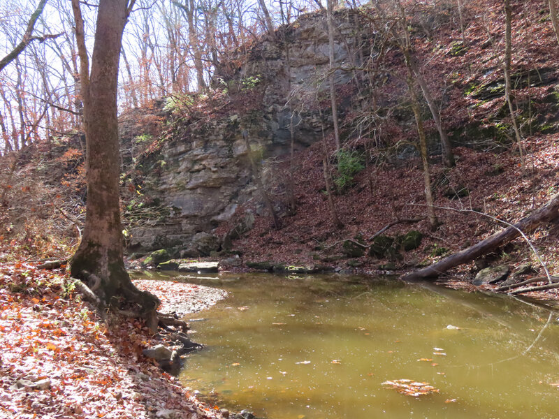 Low limestone cliff over Turkey Creek.