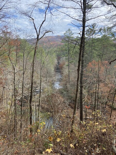 Rough Ridge Trail, Cohutta Wilderness, looking down on Jack's River.