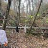 Hickory Ridge Trail, Cohutta Wilderness, trails not maintained for years making for a grueling hike.