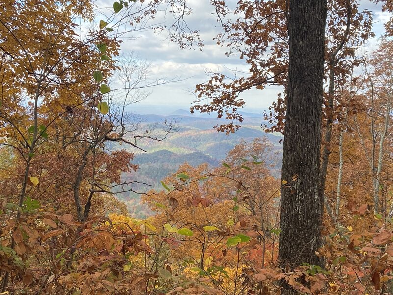 Somewhere on East Cowpen Trail, Cohutta Wilderness