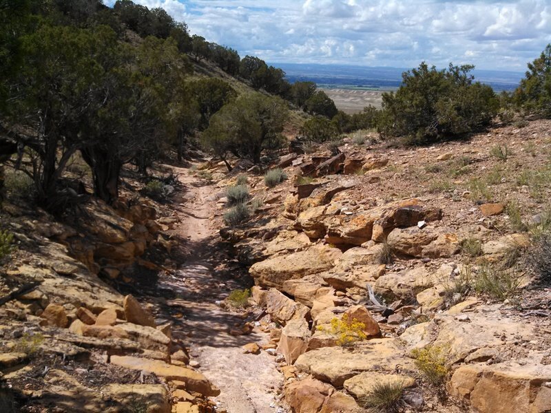 Technical trail that provides nice views of valley, San Juans and occasionally the Gunnison River.