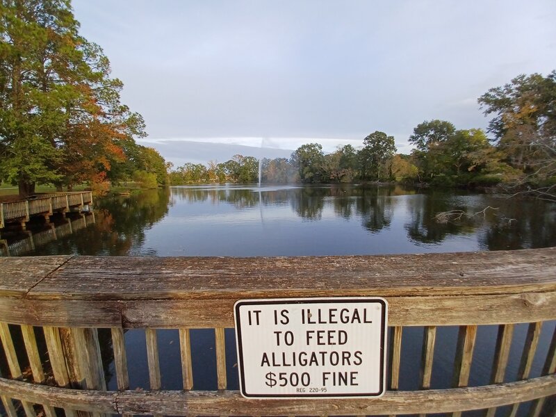 Don't feed the gators