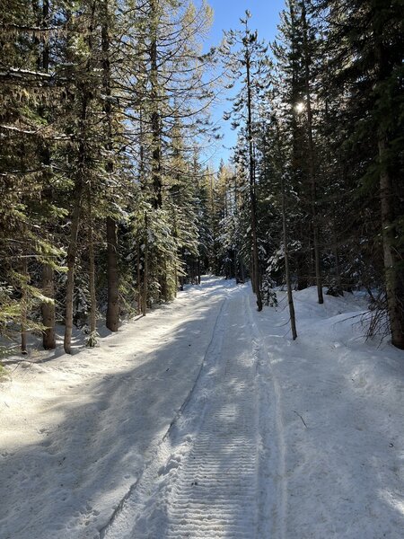 Wagon Wheel Trail heading south from Wandering Wolf Trail.