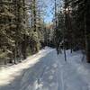 Wagon Wheel Trail heading south from Wandering Wolf Trail.