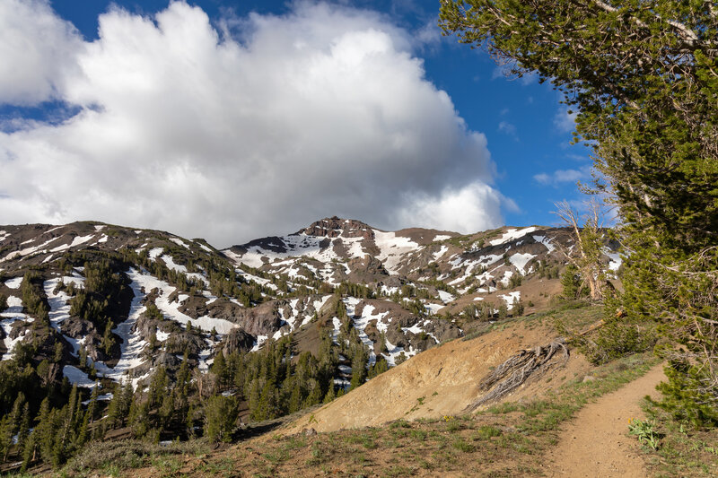 The last snow south of Sonora Pass.