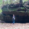 Cool tree root formation in the cut coming up from the Lake View Trail up towards Hazard Cave, person shown was 5'10" for size reference.