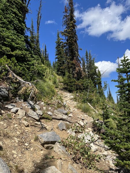 East Gospel Lake trail.