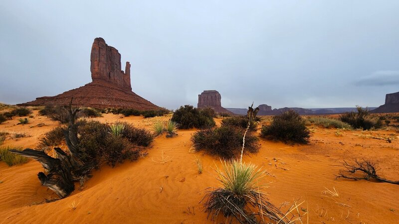 View from the trail