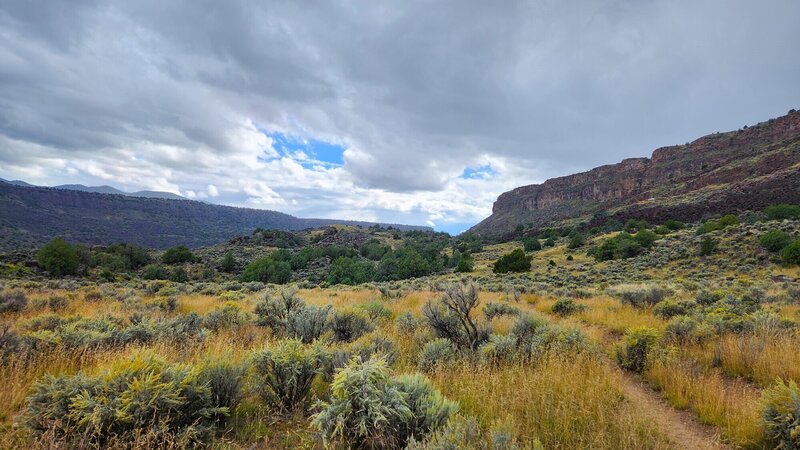 View from the trail.