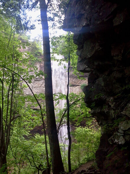 Coming to the base of Fall Creek Falls on the base of the falls trail.