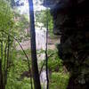 Coming to the base of Fall Creek Falls on the base of the falls trail.