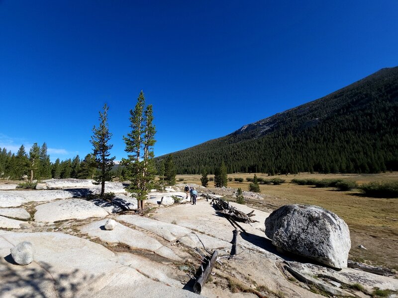 North along the Lyell Fork toward Tuolumne Meadows.