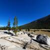 North along the Lyell Fork toward Tuolumne Meadows.