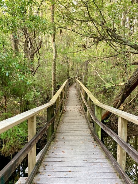 Looking down the boardwalk.