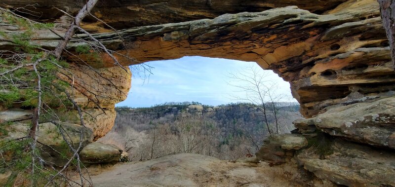 Double Arch