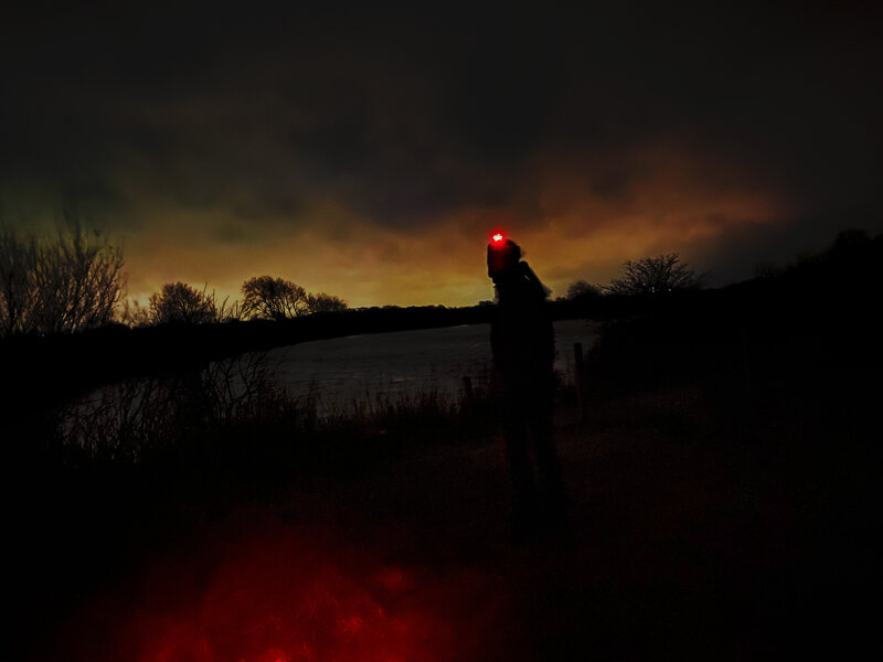 Night walking between Meijendel and the Hollandse Duinen