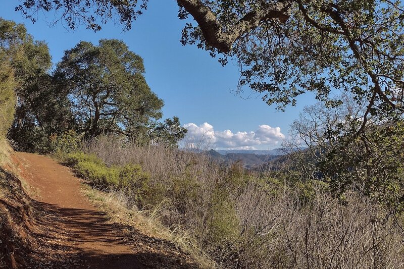 Views of the Diablo Range in the distance to the east, emerge as Mayfair Ranch Trail climbs to a ridge top.