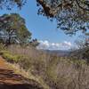 Views of the Diablo Range in the distance to the east, emerge as Mayfair Ranch Trail climbs to a ridge top.