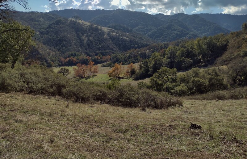 Looking south, down from the Mayfair Ranch Trail ridge top, one has great views of the grassy and wooded hills of the Santa Cruz Mountain foothills.