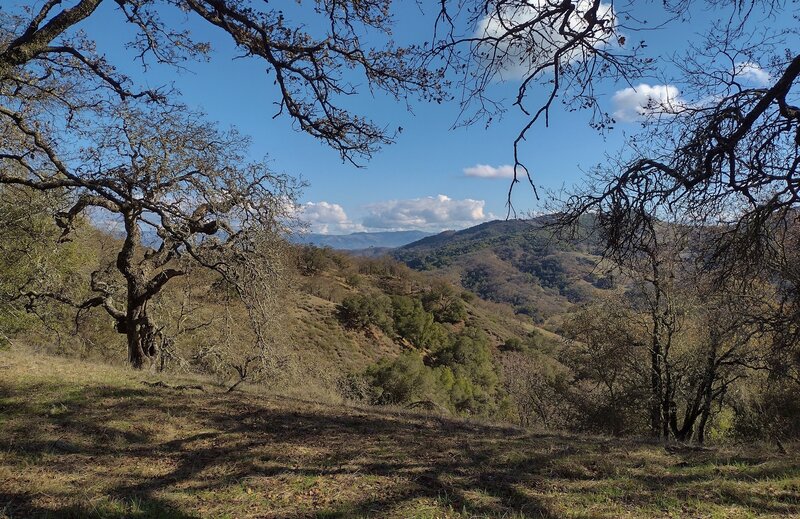 Looking northeast on the Mayfair Ranch Trail ridge top, nearby are the rugged hills of open space county parks.  In the far distance the Diablo Range can be seen.