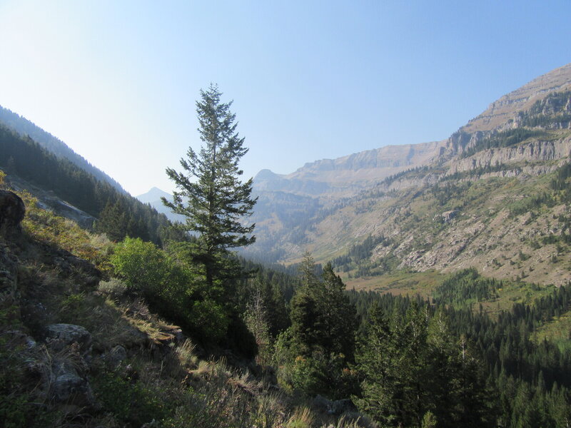 Roaring Creek Trail