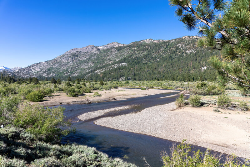 West Walker River