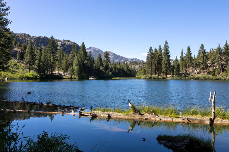 Roosevelt Lake