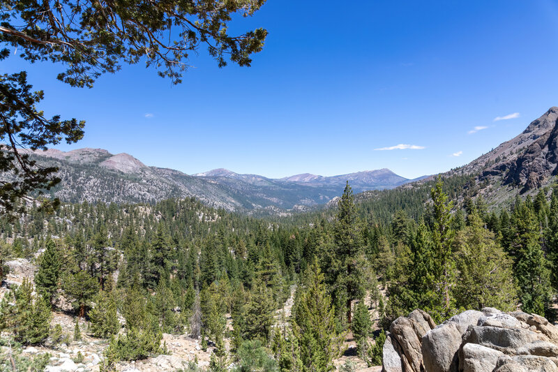 View towards Leavitt Meadow