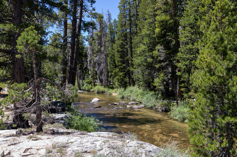 A peaceful section of the West Walker River.