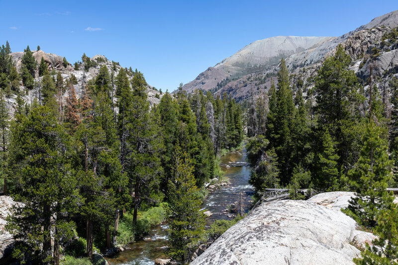 West Walker River from above.