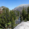 West Walker River from above.