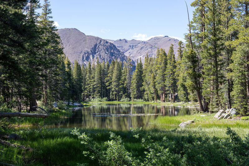 An unnamed lake west of Long Lakes Route