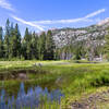 A meadow south of Lane Lake