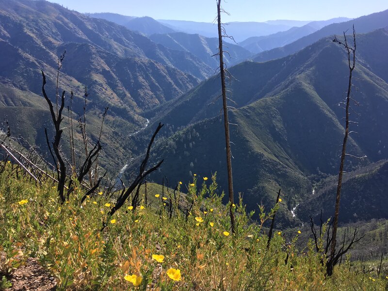 South Fork of the Merced River Gorge.