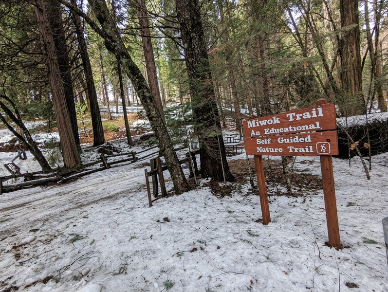 Miwok Trailhead sign with some scenic snow