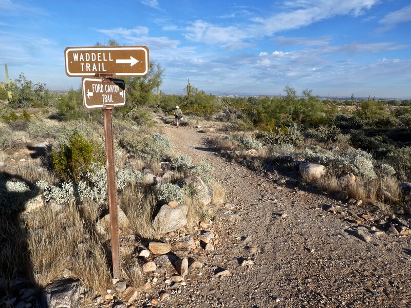 1,625'; Ford Canyon/Waddell Trail trail junction sign.  Paul is continuing on down the Ford Canyon Trail, I'll continue along the Waddell Trail & back to the trailhead where I started.  1 mile more to hike B4 returning to where I started.